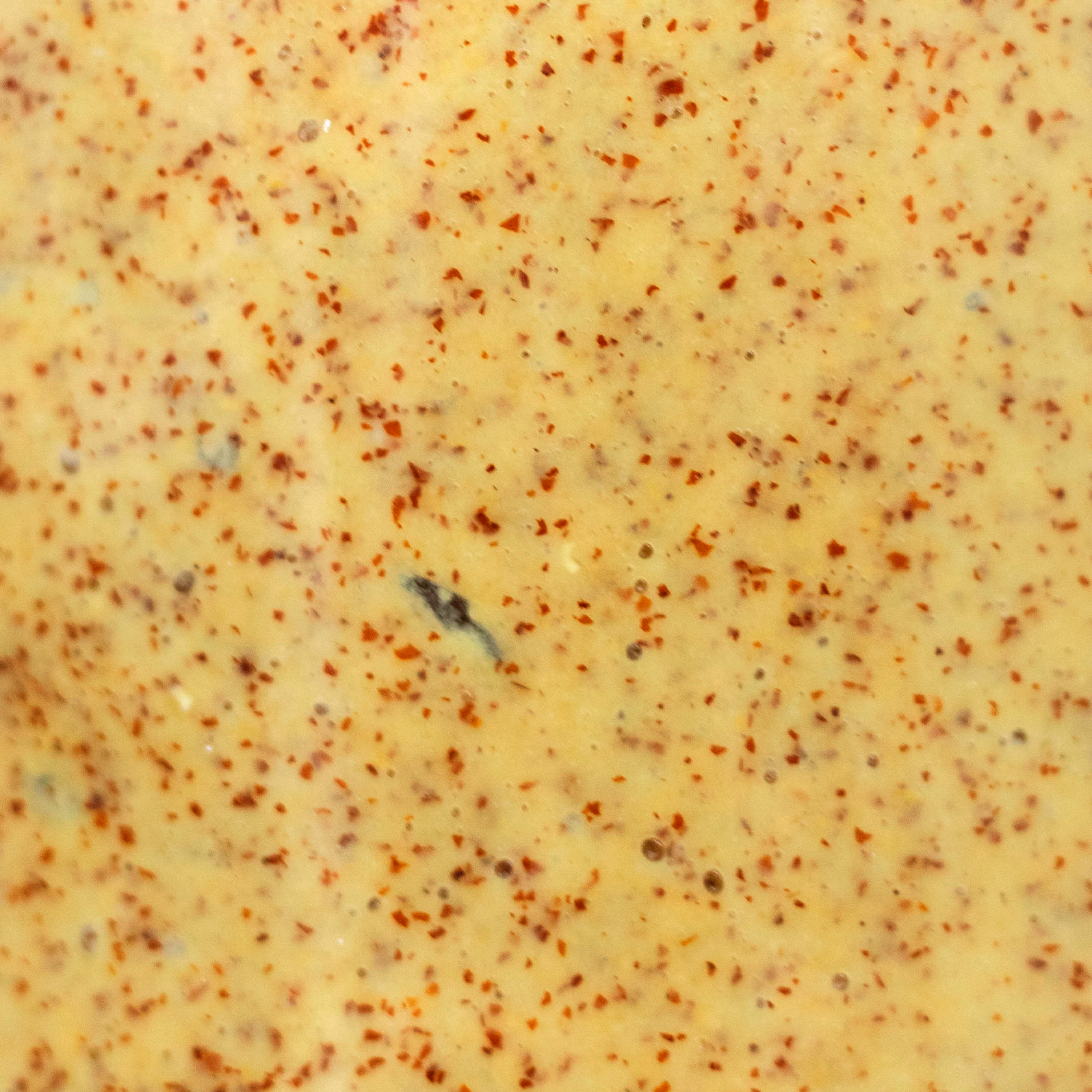 Mostarda Dijon Fermentada 1